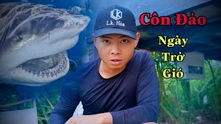 Hành Trình Cá Mập Bò 400kg  Côn đảo Ngày Trở Gió  tập 2 [upl. by Matusow874]