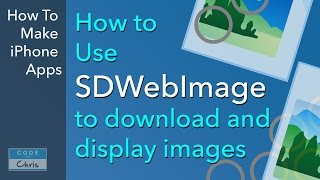 SDWebImage Tutorial  Display images from a URL [upl. by Leakim196]