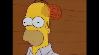 The Simpsons Homers Brain Compilation [upl. by Patrica]