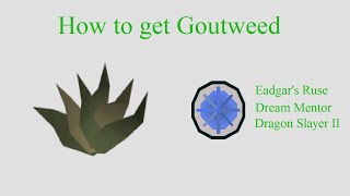 OSRS  How to get Goutweed  DONE EASY WITH MAZE  Quick guide [upl. by Ailsa]