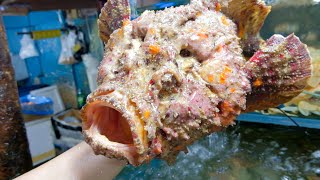 The Famous Fresh Seafood Market in the Philippines  Dampa Seaside Pasay [upl. by Akiemahs]