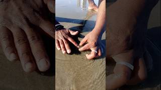 Unbelievable Catching with Empty Hand fishing fishingvideos seafishing thoondilulagam [upl. by Norword]