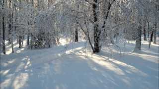 Relaksujące dźwięki chodzenia po śniegu  skrzypienie śniegu i szum wiatru  Sound of wind and snow [upl. by Einnep]