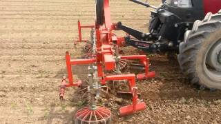 ROTOSARK INTER ROW CROP CULTIVATOR HACKMASCHINE WEEDING MACHINE BINEUSE SARCLEUSE OLIVER [upl. by Anuaek]