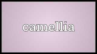 Camellia Meaning [upl. by Manon]