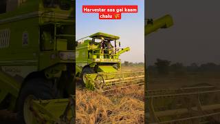 Harvestar dhan🌾👳cutai chalu part 2  punjab harvester [upl. by Sardse]