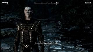 Thalmor Playthrough  Chapter 19 Recruiting Other Thalmor Agents [upl. by Ellimak]