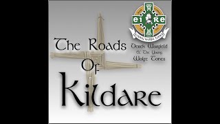 Roads Of Kildare Derek Warfield amp The Young Wolfe Tones [upl. by Argyle]