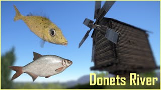 Seversky Donets River  Donets Ruffe  Russian Fishing 4 rf4 spot 29 [upl. by Nilsoj]