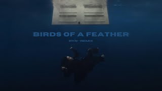 BIRDS OF A FEATHER ryn remix  Billie Eilish [upl. by Enaed49]