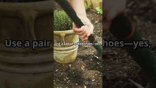 Aerate Your Soil Cheaply DIY Tips [upl. by Ahsaeit]