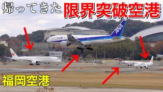 【大混雑】福岡空港の離着陸機を解説！ [upl. by Antonin]