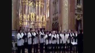 O Tannenbaum du trägst ein grünen Zweig sung by womens choir of Erfurt Germany Thuringia [upl. by Longerich]