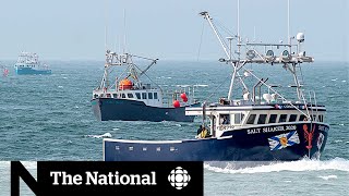 Arrests made in dispute between Mi’kmaw lobster fishery and nonIndigenous fisherman [upl. by Richards]