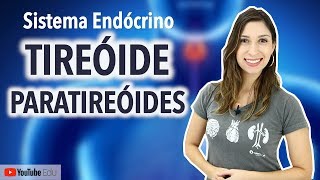 Tireóide e Paratireóides Sistema Endócrino [upl. by Hedve]