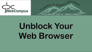 Unblock Your Web Browser [upl. by Romine943]