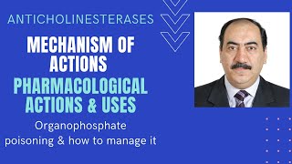 An elaborate explanation of anticholinesterase mechanism of action uses amp organophosphate poisoning [upl. by Canotas]