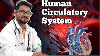 Body Fluids And Circulation Part 5  Human Circulatory System Final Biology Classes NEET [upl. by Ydorb]