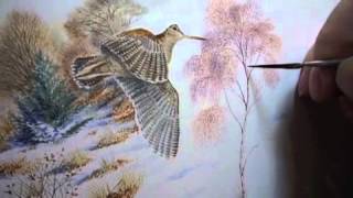 Pin feather Painting with a Woodcocks feather by Colin Woolf [upl. by Nahpets]