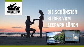 Fotowettbewerb Seepark Lünen  Die schönste Bilder werden gesucht [upl. by Aslin]