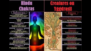 Hindu Chakras in Norse Mythology [upl. by Uolyram]