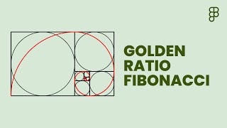 Golden Ratio Fibonacci  Figma Tutorial [upl. by Tohcnarf]