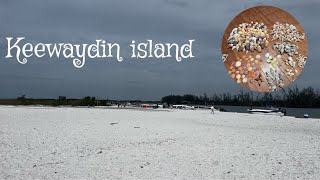 Virtual shelling Keewaydin Island Marco Island [upl. by Nino]