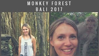 Ubud BALI  MONKEY forst Ubud Bali gefährlich   Ubud Bali Affenwald  Ubud Trip  Bali VLOG 2017 [upl. by Lizabeth149]