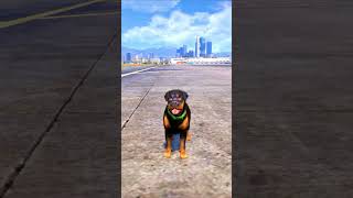 GTA 5  Dogs teach us love in its purest form Part  33 😭  shorts shortvideo shortsviral gta5 [upl. by Etnuahs274]