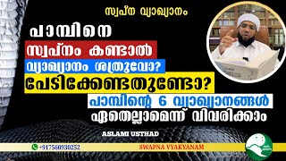 പാമ്പിനെ സ്വപ്നം കണ്ടാൽ വ്യാഖ്യാനം ശത്രുവോ  Latest topic swapna vyakyanam  Aslami Usthad [upl. by Tanah521]