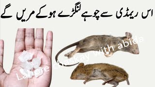 Rat killer  rat killer home remedies  rat trap  rat poision  rat  chuhe marne ka tarika [upl. by Maeve]