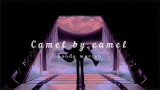 Sandy marton  Camel by camel Slowed  reverb [upl. by Kreindler]