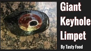 How to clean Giant Keyhole Limpet [upl. by Mitran]