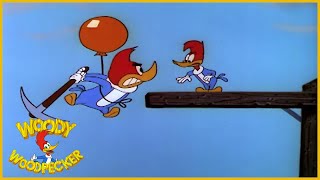 Woody Woodpecker  To Catch a Woodpecker  Full Episodes [upl. by Kcinnay485]