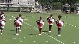 10U Archer Tiger Cheerleaders HalfTime Show 82424 Cheer Routine [upl. by Fosdick]