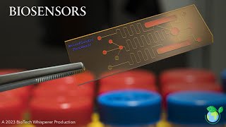 Nanotechnology and Biosensors The Perfect Match  Explained in 4 Minutes [upl. by Llorre]