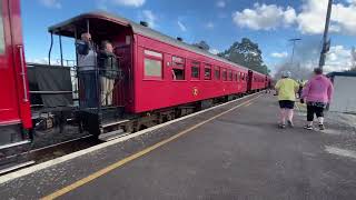 The times age daffodil day train leaving Featherston [upl. by Draillih760]