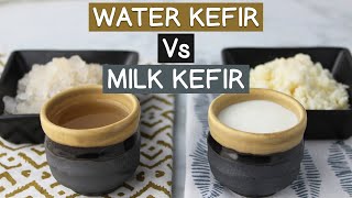 Water Kefir Vs Milk Kefir Using Kefir Grains Not Powders [upl. by Kristine]