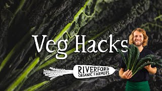 Cavolo Nero  How to make the PERFECT crispy quotseaweedquot using kale  VEG HACKS [upl. by Tak304]