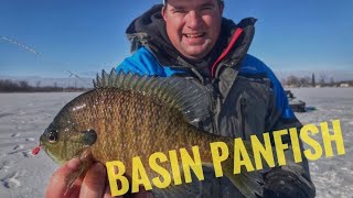 Ice Fishing Suspended PANFISH on Early Ice [upl. by Aynotan]