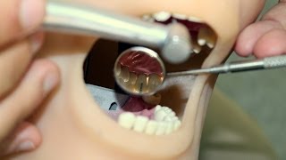 Patient and operator chair positions in Fixed Prosthodontics  Tutorial [upl. by Calendra]