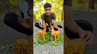 Rc Remote Control Two Giraffe 🦒 vs Deer ki testing 😜 [upl. by Krishna]