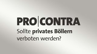 Pro und Contra Sollte privates Böllern verboten werden [upl. by Zach]