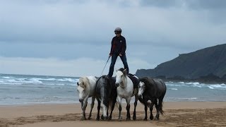 Connemara Liberty Team Training [upl. by Belda]