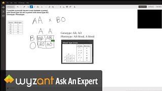 Punnett Square Blood Types [upl. by Barbra715]