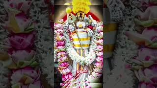 OMmurugadevotionalsongs hills hindugod arogara ommurugan tamil tempel [upl. by Tench]