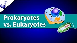 Prokaryotic Vs Eukaryotic Cells [upl. by Godwin]