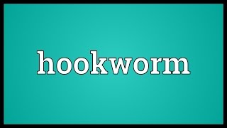 Hookworm Meaning [upl. by Dalohcin317]