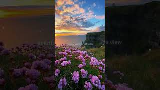 24kgoldn  Mood Lyrics ftiann dior  Lyrics video  lofi  Mood song  lyrics aesthetic [upl. by Htims]