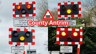 Northern Ireland Level Crossings in County Antrim Compilation [upl. by Adnicaj]